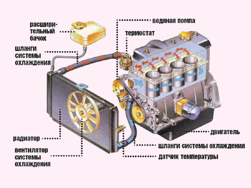 Как работает система охлаждения двигателя? Рассматриваем детально